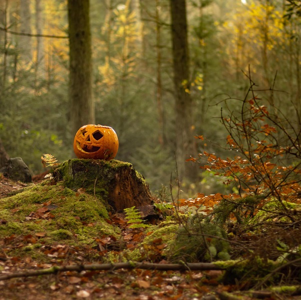 halloween-6630497_BD2.jpg