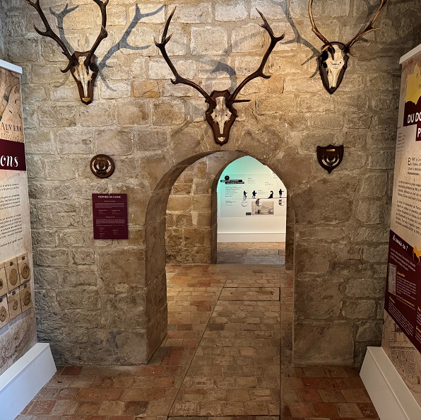 Expo MDV oct 2025_EXPO.jpg